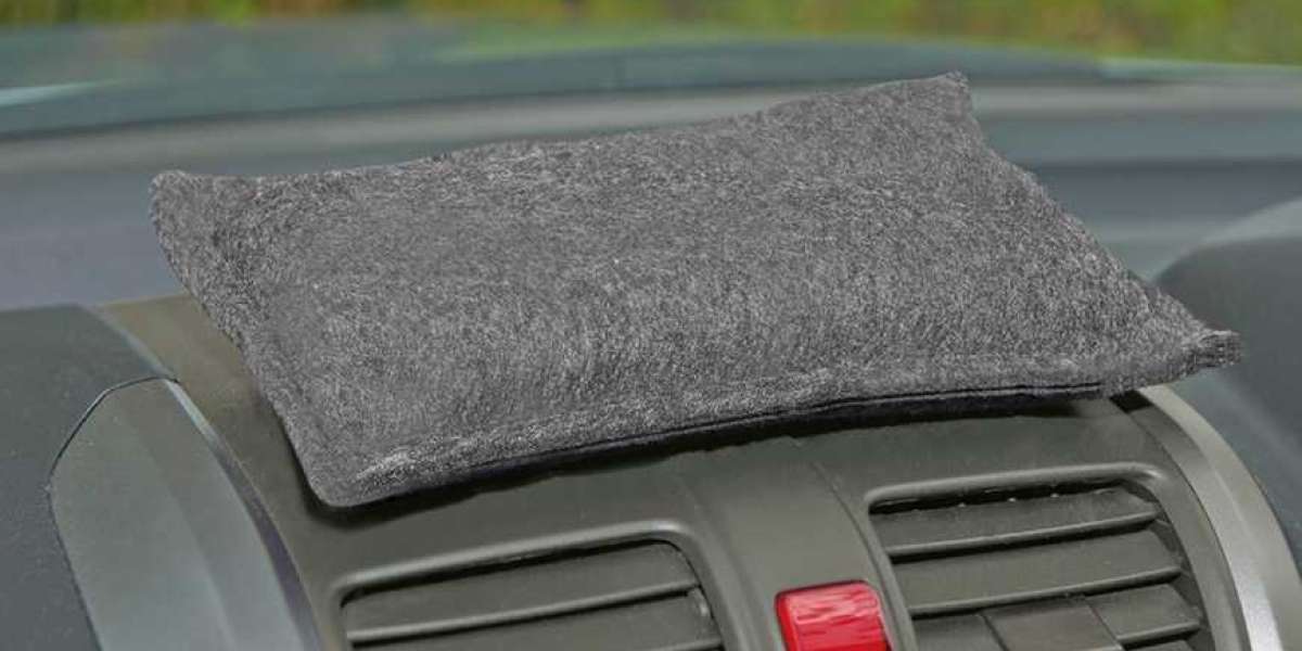 Discover the Ultimate Hack to Keep Your Car Moisture-Free!