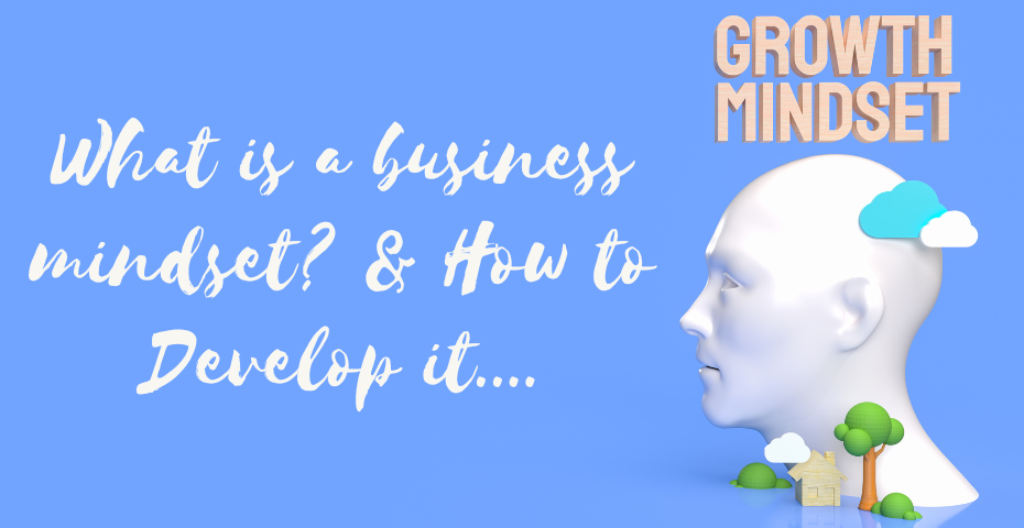 What is a Business Mindset? & How to Develop it....