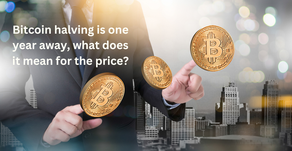 Bitcoin halving is one year away, what does it mean for the price?