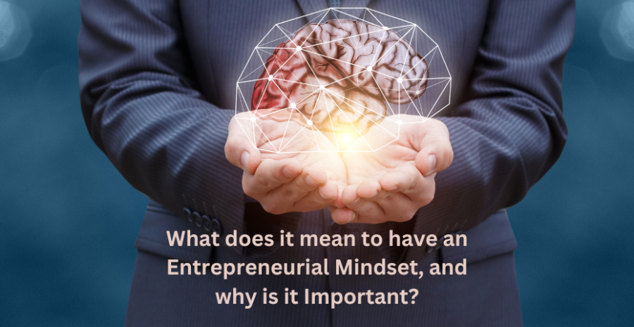 What does it mean to have an Entrepreneurial Mindset, and why is it Important?