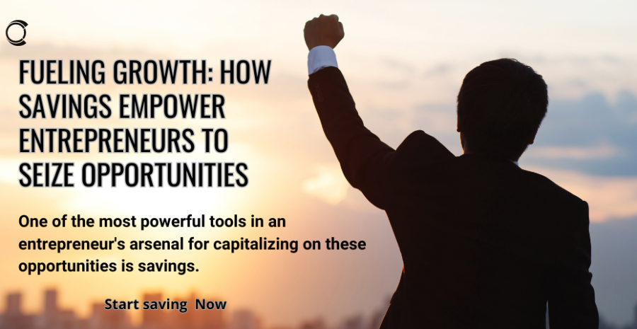 Fueling Growth: How Savings Empower Entrepreneurs to Seize Opportunities