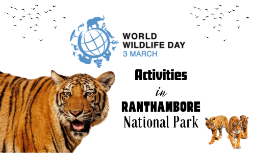 World Wildlife Day 2024 Activities in Ranthambore National Park - INFORMATION SITE