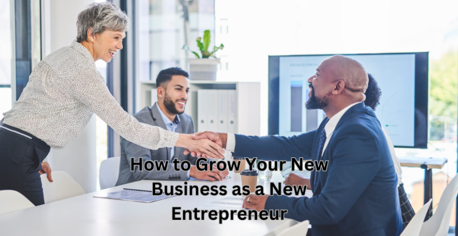 How to Grow Your New Business as a New Entrepreneur