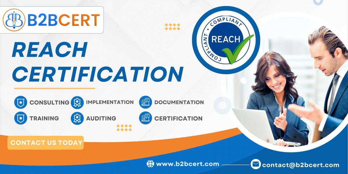 Recognizing Your Possibility for Business REACH Certification