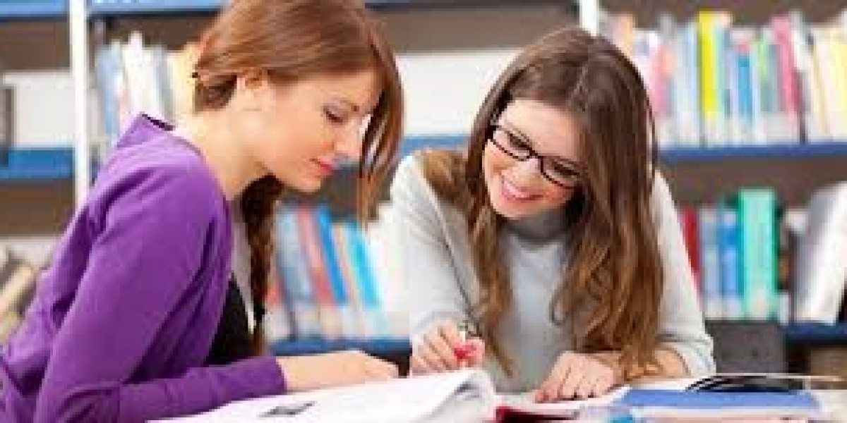 Assignment help berlin