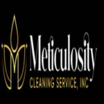 Meticulosity Cleaning