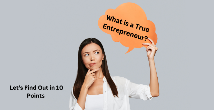 What is a True Entrepreneur? Lets Find Out in 10 Points