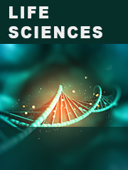 ECG Management System Market | Size, Share, Volume 2025 to 2032