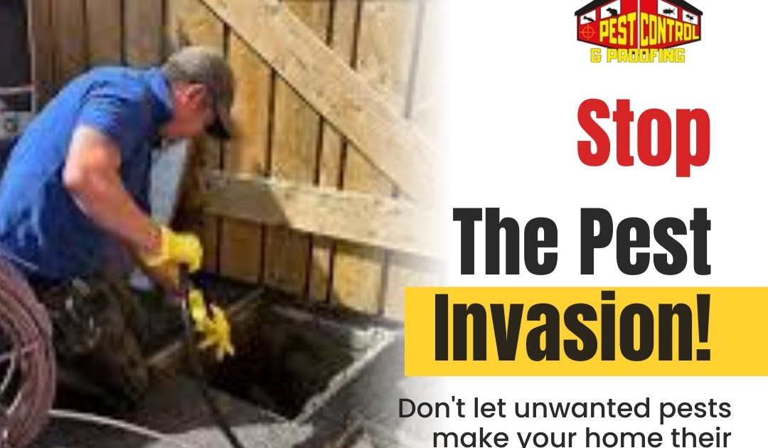 Reliable Pest Control in Northern Ireland for Rodents and Residential Infestations