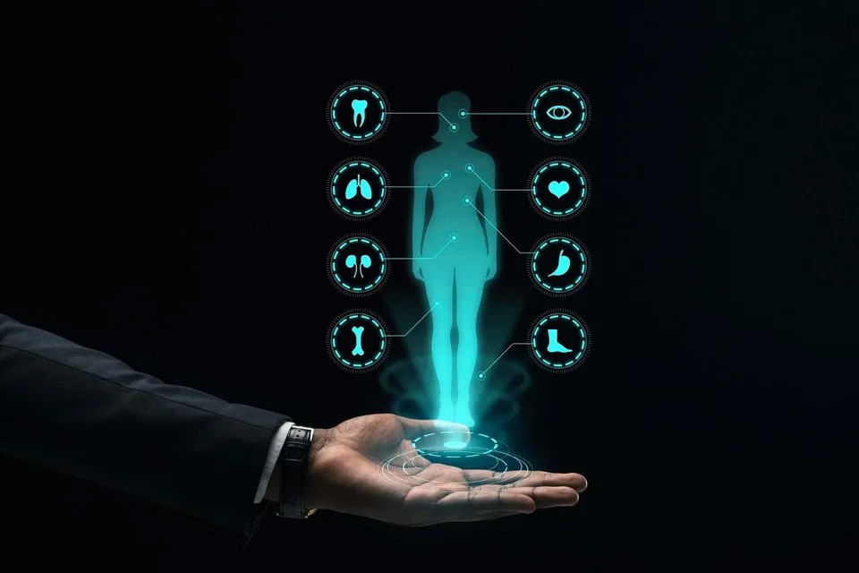 User Image