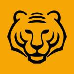 Asian Tigers Group