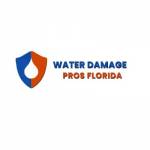 Water Damage Pros FL
