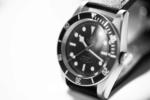 What to Know Before Buying Your First TUDOR Watch?
