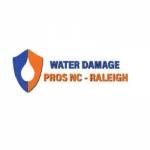 the Water Damage Pros Raleigh nc