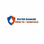 Water Damage Pros Nashville