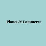Rupaliyan Techventures and consultancy limited