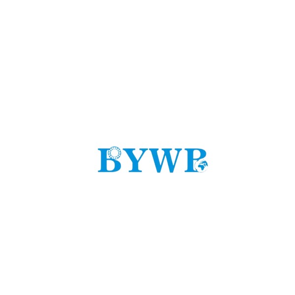 BYWB Bearing