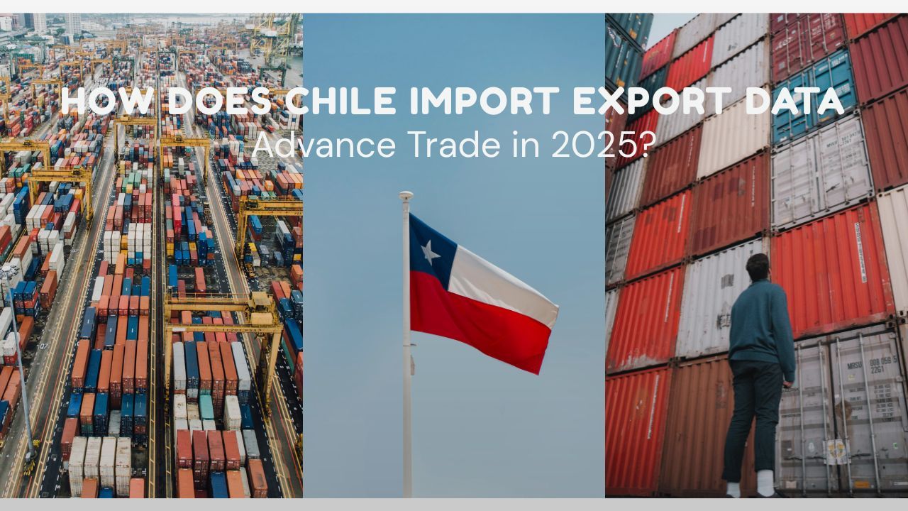 Sofia-Exim-Blogs — How Does Chile Import Export Data Advance Trade in...