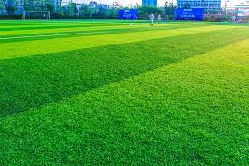 High-Quality Cricket Turf Manufacturer for Every Game – Site Title