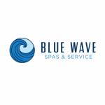 Blue Wave Spas Services