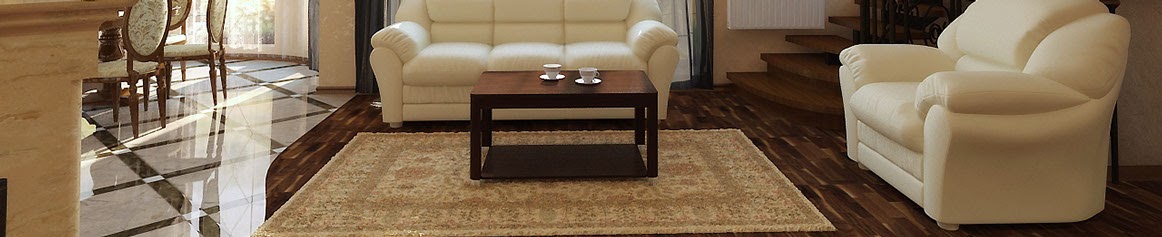 Choosing the Right Stain Removal Products for Every Carpet Cleaning Challenge