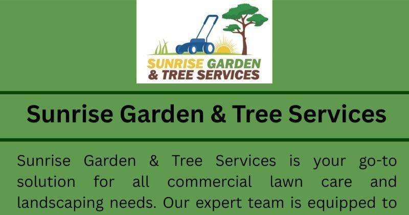 Best Tree Maintenance Service in Adelaide S.A.