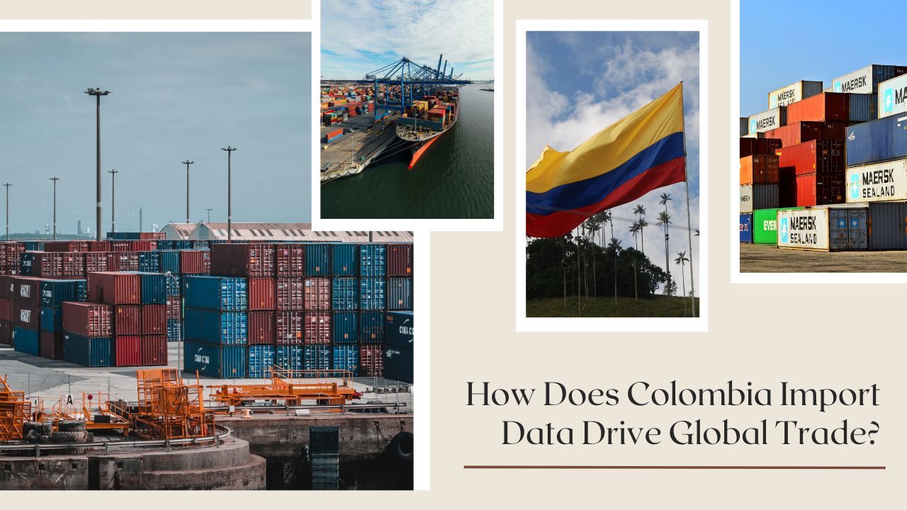 Ember Exim Blogs — How Does Colombia Import Data Drive Global Trade?