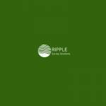 Ripple Survey Solutions Limited