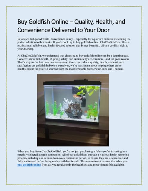 Buy Goldfish Online – Quality, Health, and Convenience Delivered to Your Door | PDF