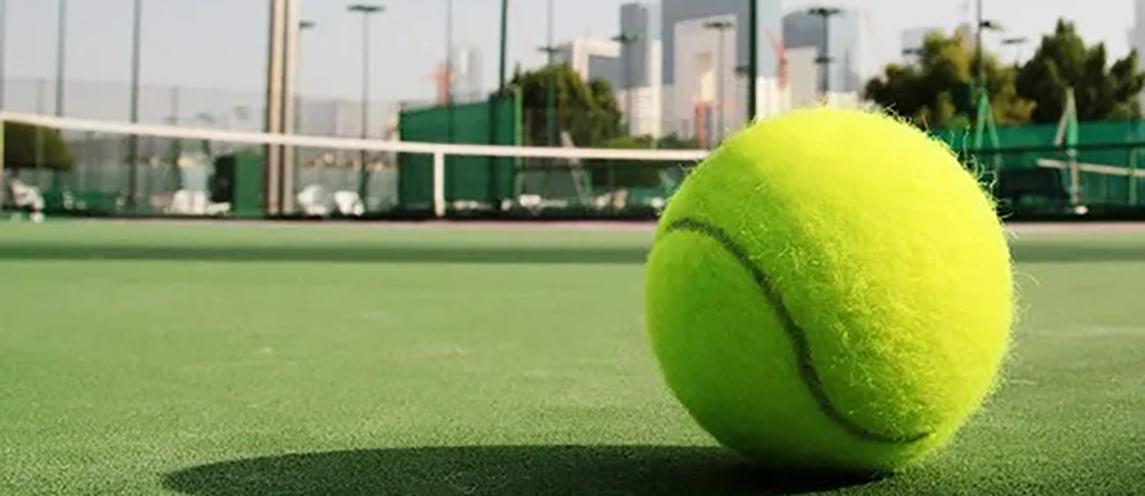 Artificial Cricket Turf a Smart Choice for Modern Grounds – Site Title