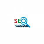 SEO Company in Jaipur