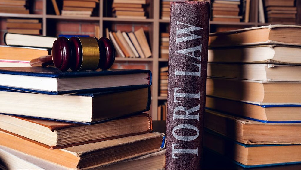 What is a Tort Claim