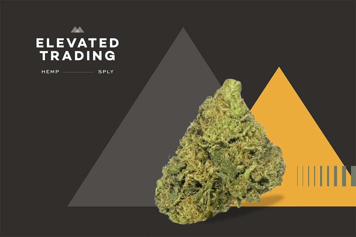 Hemp Flower Wholesale - Elevated Trading