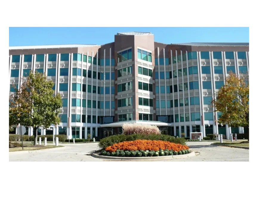 Translation Service In Florida, Texas, New York