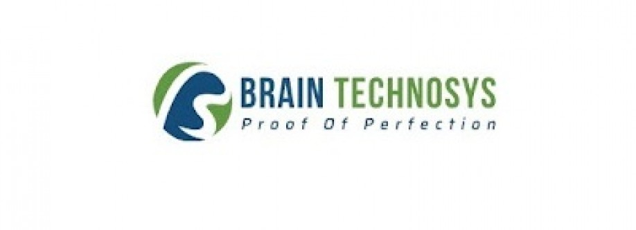 Brain Technosys Pvt Ltd