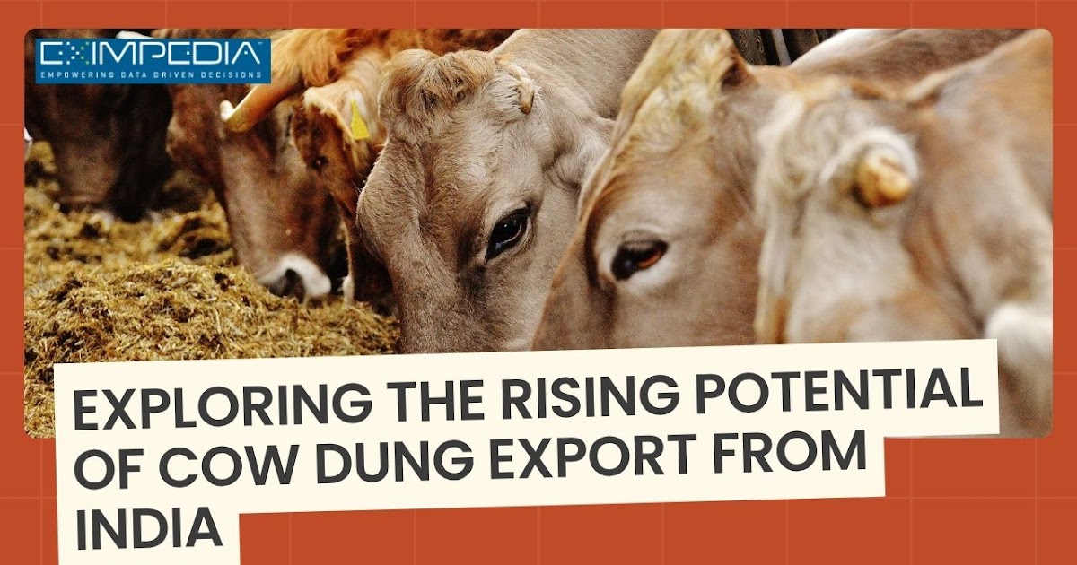 Exploring the Rising Potential of Cow Dung Export from India