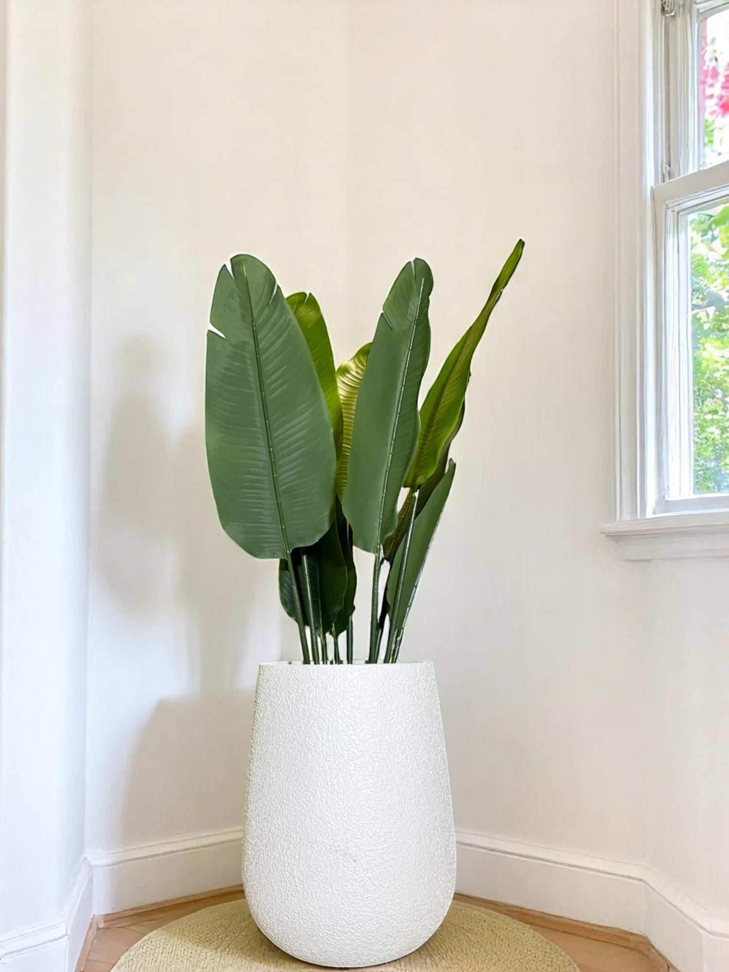 Buy Premium FRP Planters Online in India from the Series of Austin Pla  – JP Planters