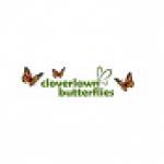 Cloverlawn Butterflies