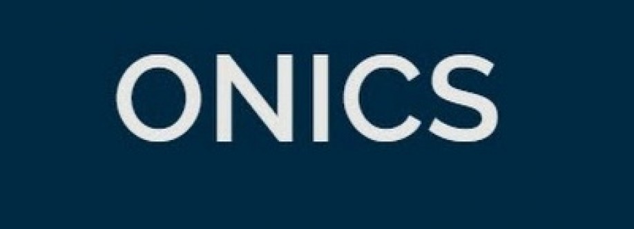 Onics power resistor