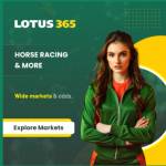 lotus365 india