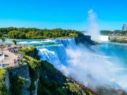 Security Guard Services Kingston Trusted Local Safety | ruh.org.tr