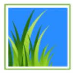 Thick Green Healthy Lawn Pest