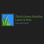 Thick Green Healthy Lawn Pest