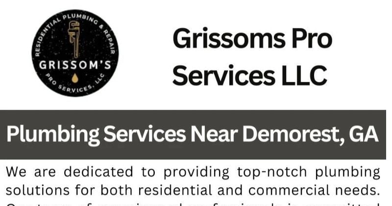 Plumbing Services Near Demorest, GA