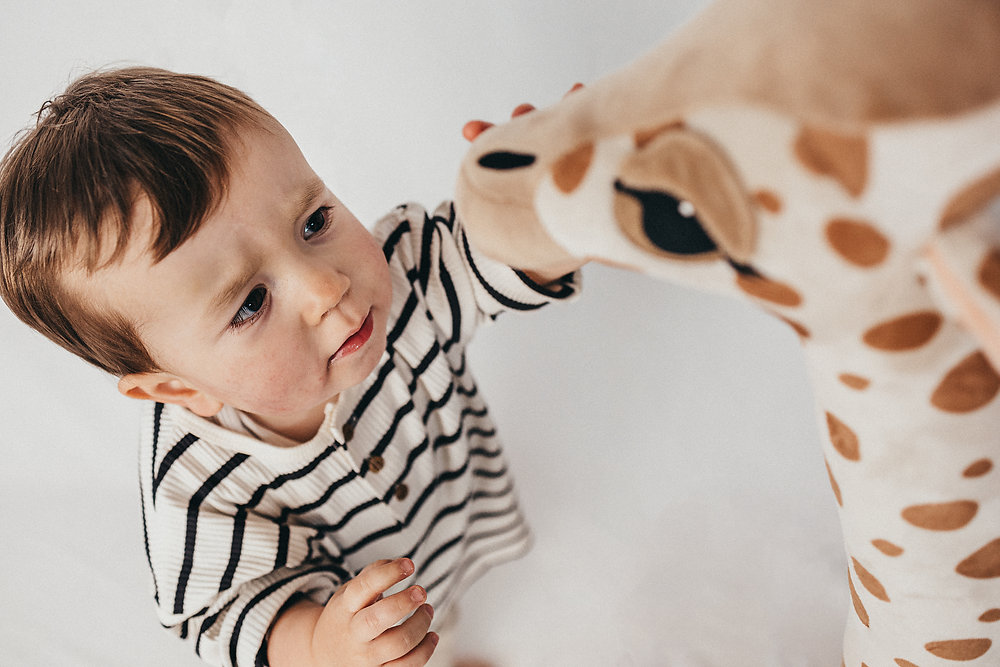 Family and sitter photography