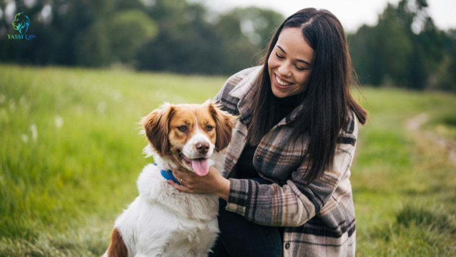 Animal Owner Liability: What You Need to Prove After a Dog Attack