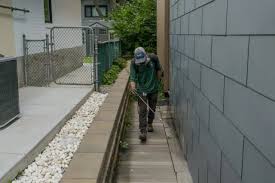 That Sound in the Walls: A Montrealer's Nightmare * Fun recipes to enjoy