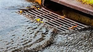 The Hole in the Flowerbed: A Costly Discovery | FanTok