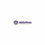 Attic Pros