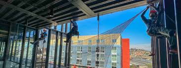 Bird Proofing Los Angeles | Humane & Effective Bird Control